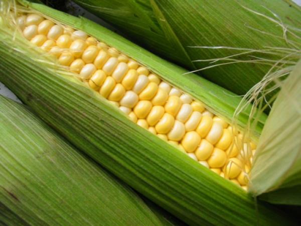 Небольшие хитрости вареной кукурузы