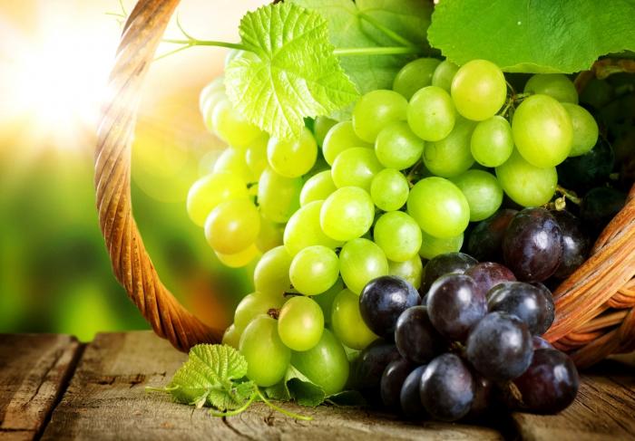 Виноград — кладезь витаминов