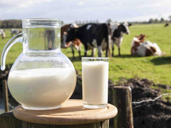 Немецкие исследователи: пастеризованное молоко провоцирует аллергию