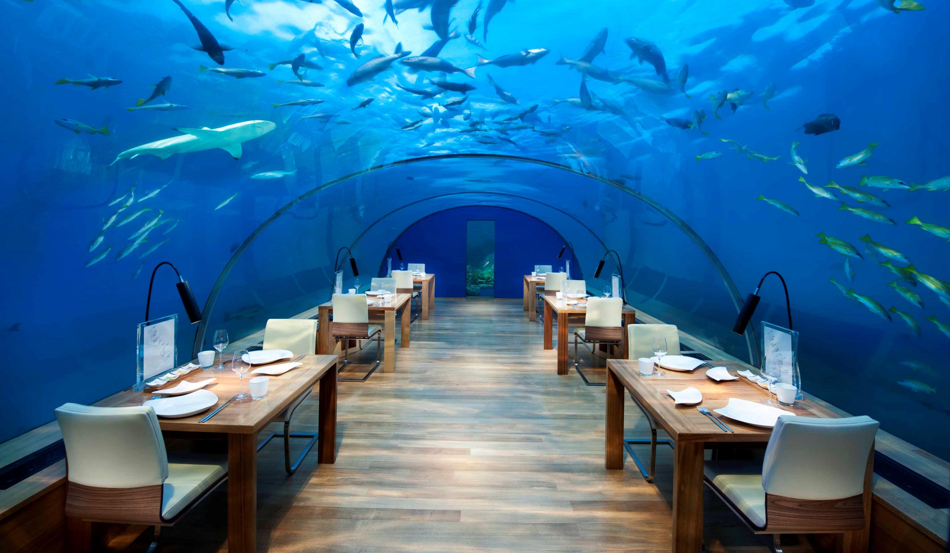 В Индии открылся первый подводный ресторан
